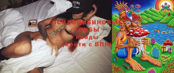 бошки Осташков