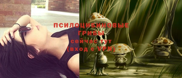 бошки Осташков