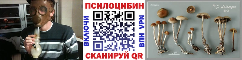 купить закладку  OMG маркетплейс  нарко площадка телеграм  Томари  Галлюциногенные грибы ЛСД 